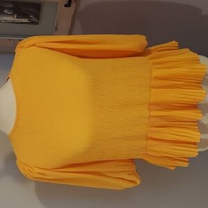 Zara Mustard Dress top XS